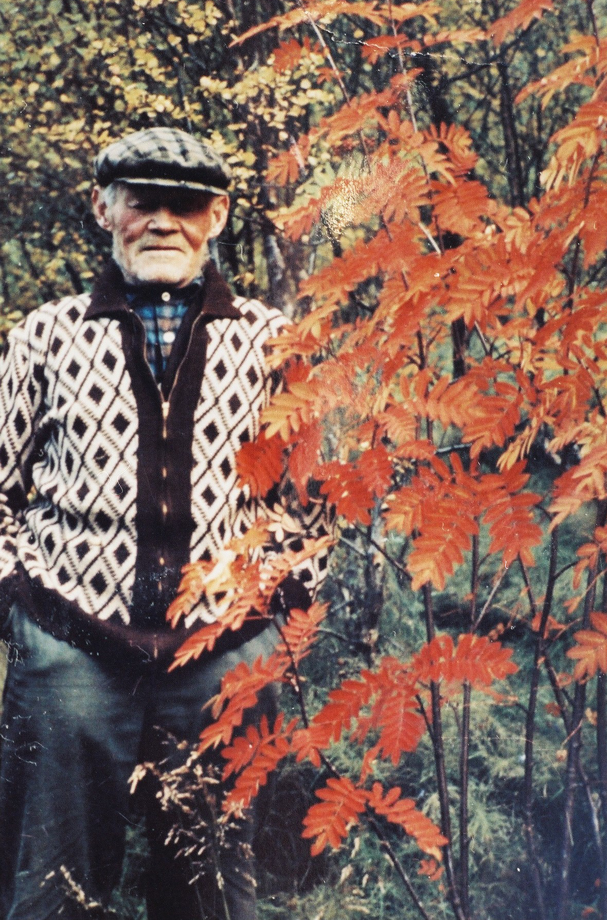 metusalem i gardinum a hrafnkelsstodum