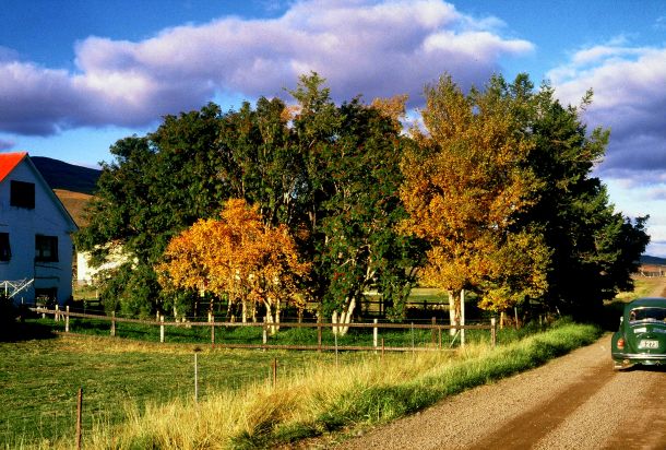 Skrúðgarðurinn á Bessastöðum